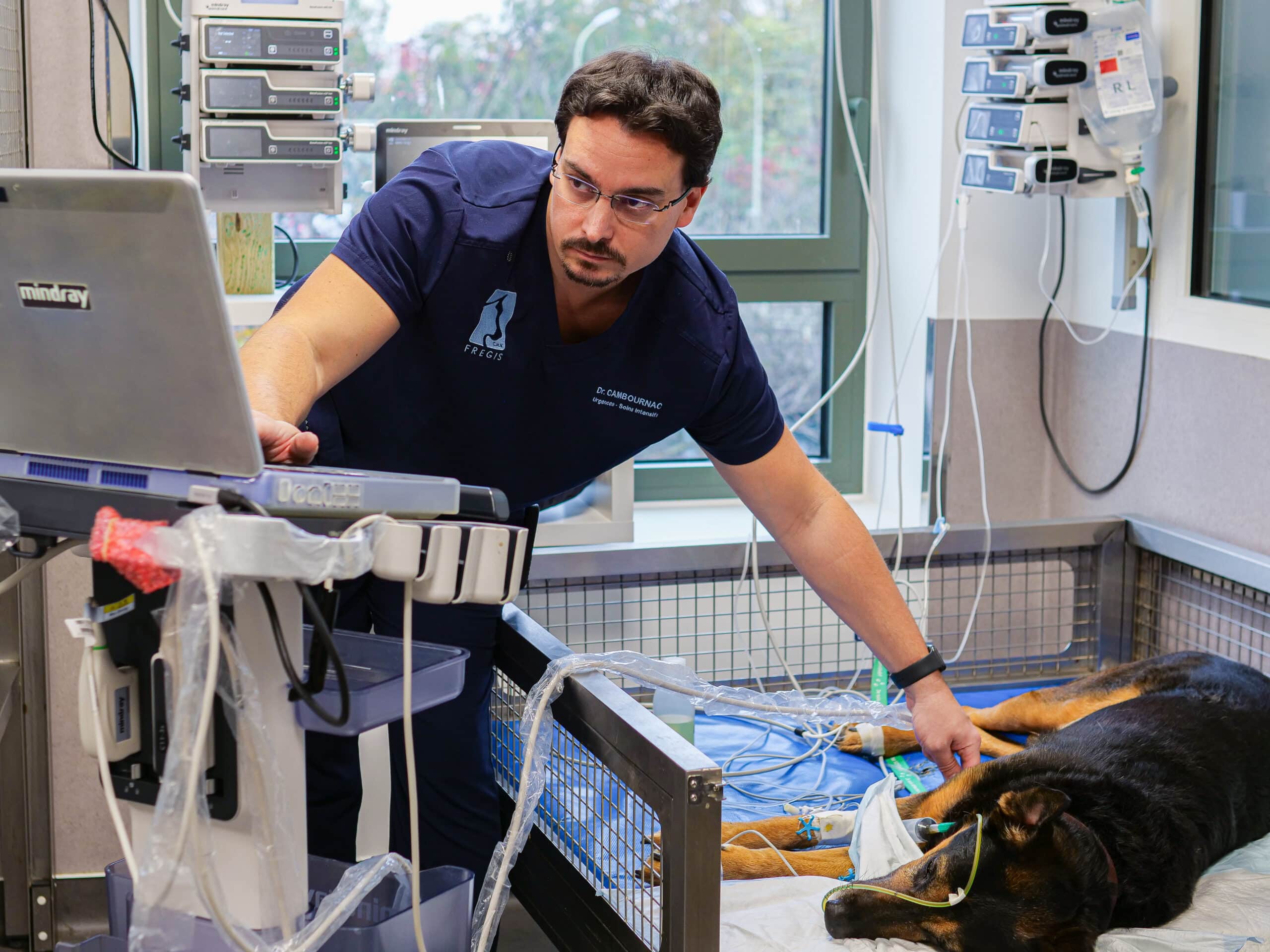 Un docteur vétérinaire du service des soins intensifs utilise un échographe portable sur un chien noir de grande taille.